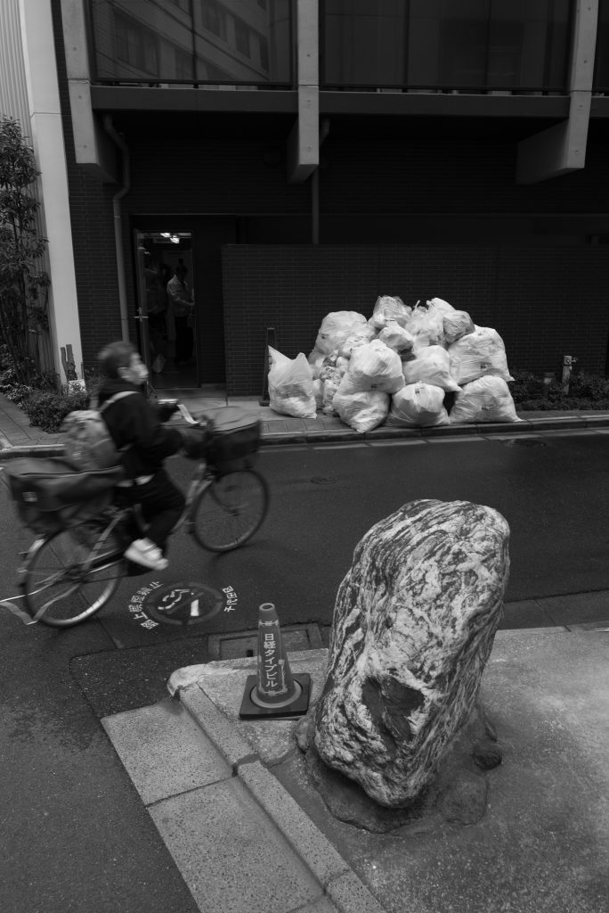 L1002113.jpg